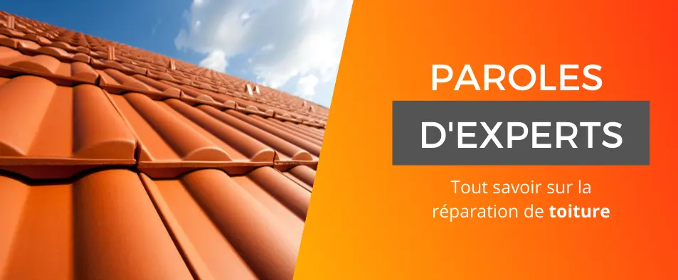 Toiture propre et neuve à gauche, texte à droite 'Parole d'expert, tout savoir sur la réparation de toiture', nettoyage et démoussage de toiture réalisé par Toiture93