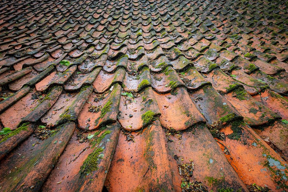 Toiture en tuiles recouverte de mousse avant rénovation

